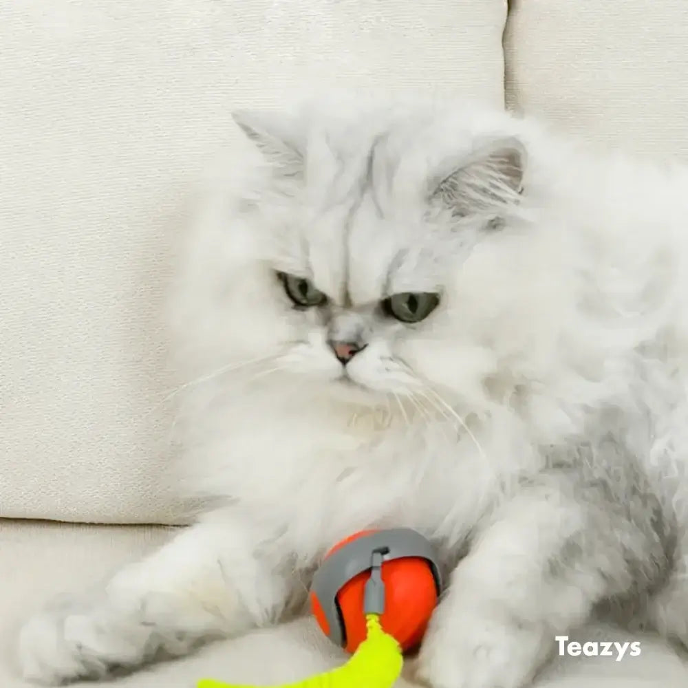 SPEEDY TAIL 2.0 ™