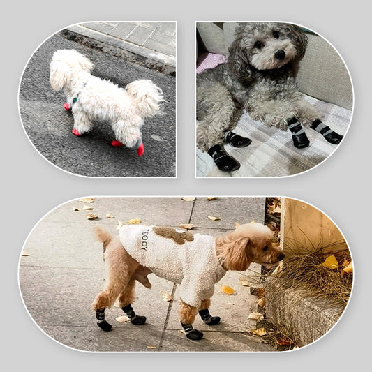 PawShield™ Anti-Slip Paw Shoes