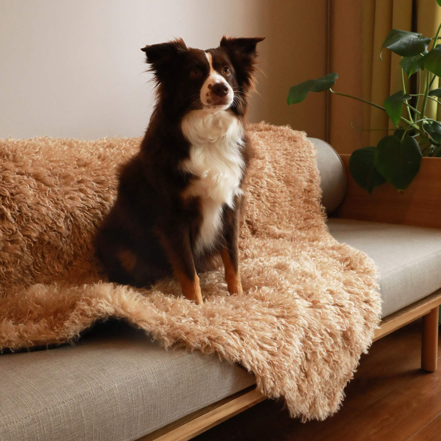 Aprolo™ Luxury Waterproof Pet Blanket & Bed Runner