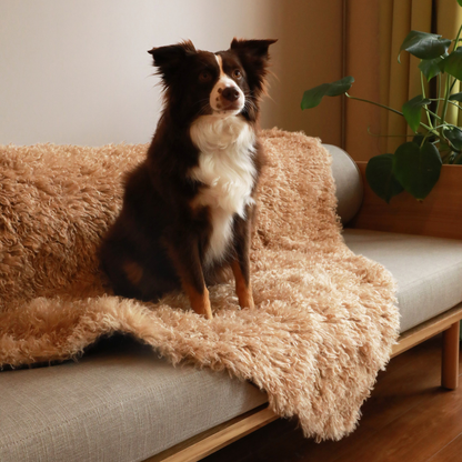 Aprolo™ Luxury Waterproof Pet Blanket & Bed Runner