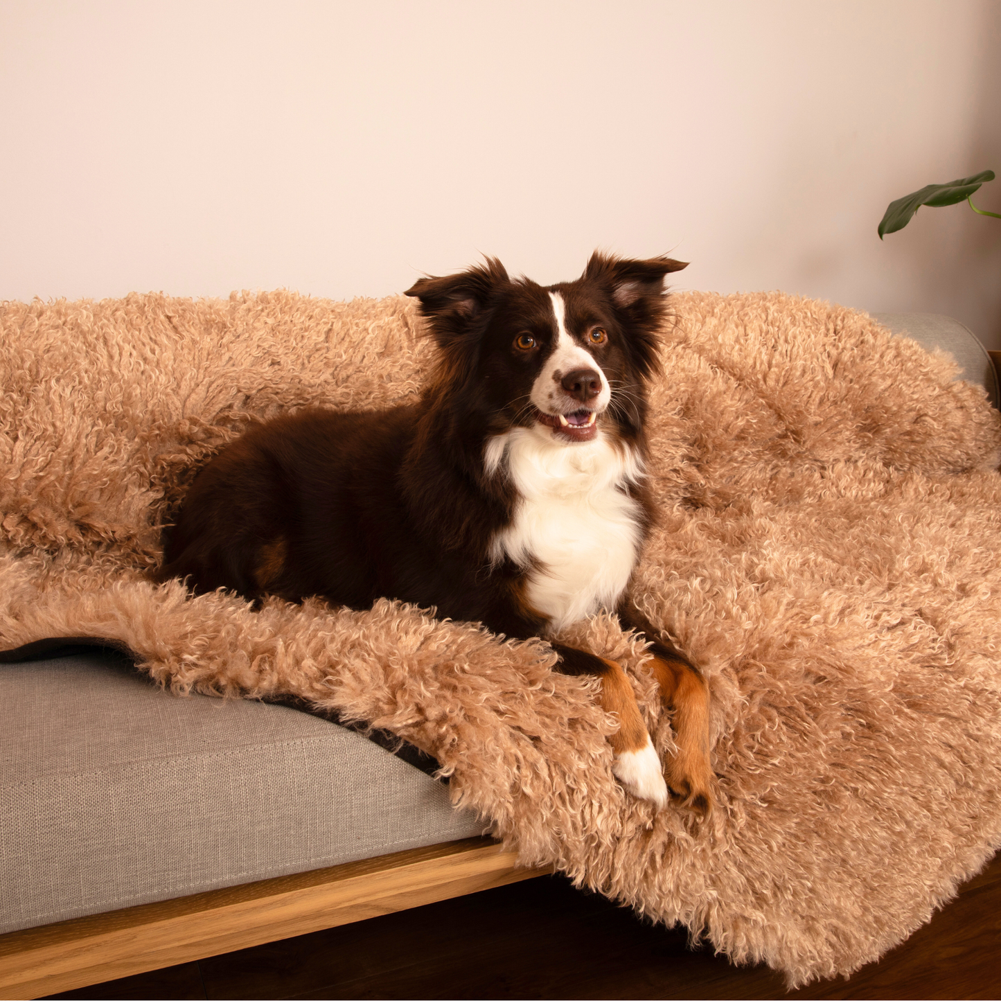 Aprolo™ Luxury Waterproof Pet Blanket & Bed Runner