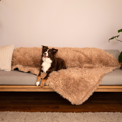 Aprolo™ Luxury Waterproof Pet Blanket & Bed Runner