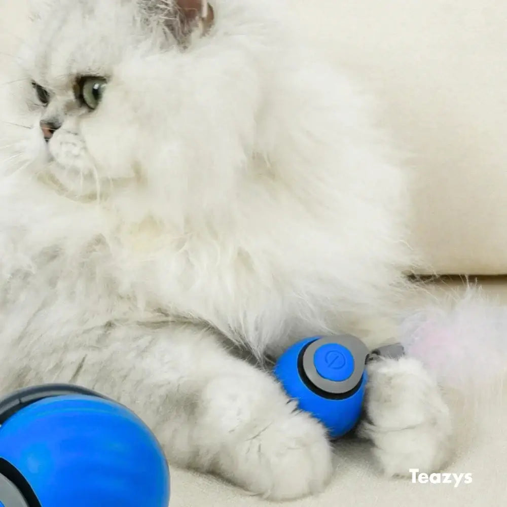 SPEEDY TAIL 2.0 ™‎‎‎‎‎