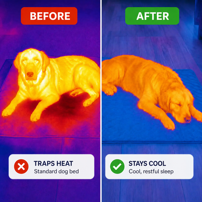 CoolRest – More Coolness and Rest for Your Dog