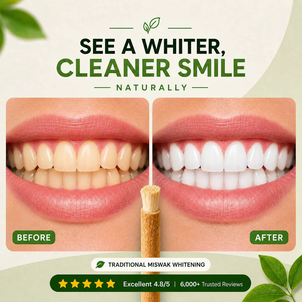 Natural Miswak Whitening Stick