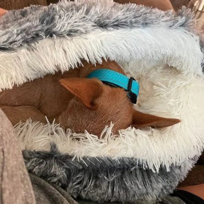Cozy Circle Pet Bed — Sleep, Snuggle, Repeat