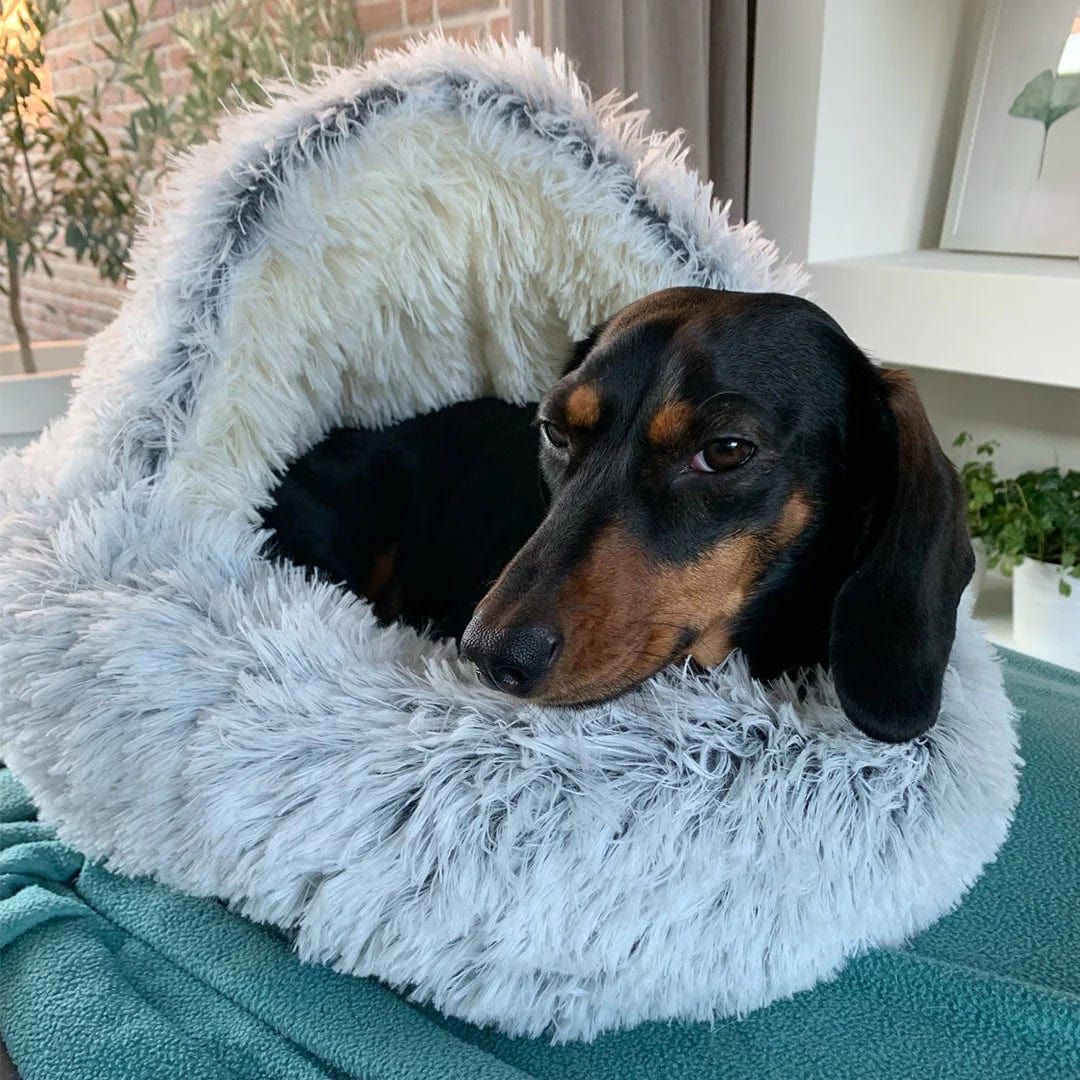 Cozy Circle Pet Bed — Sleep, Snuggle, Repeat