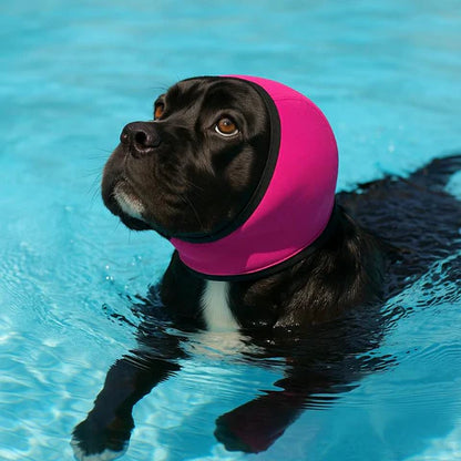 Waterproof Calming Ear Wrap for Dogs | Anxiety & Noise Relief