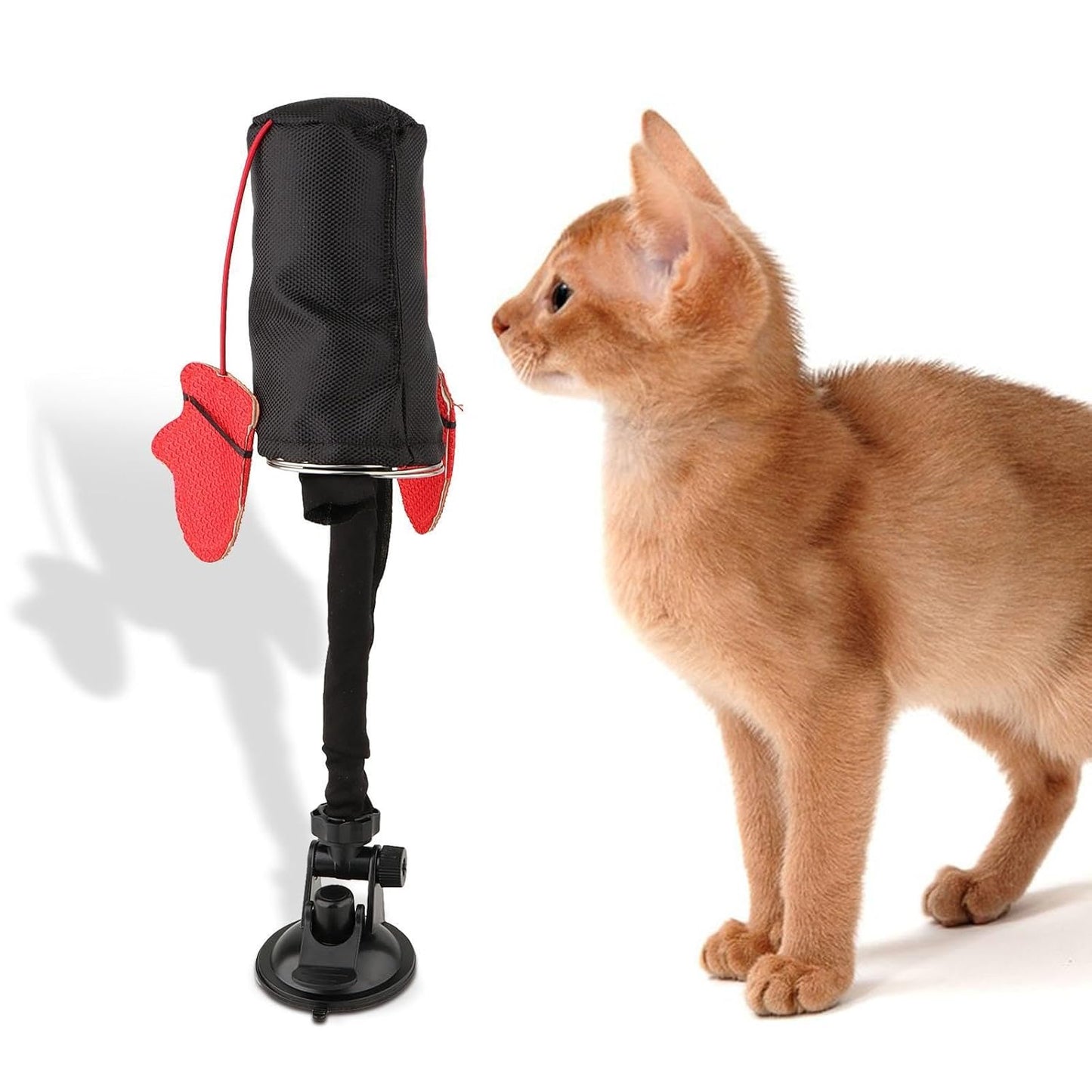 🥊Cat Boxing Toy😻