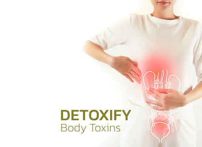 Full-Body Detox Bundle
