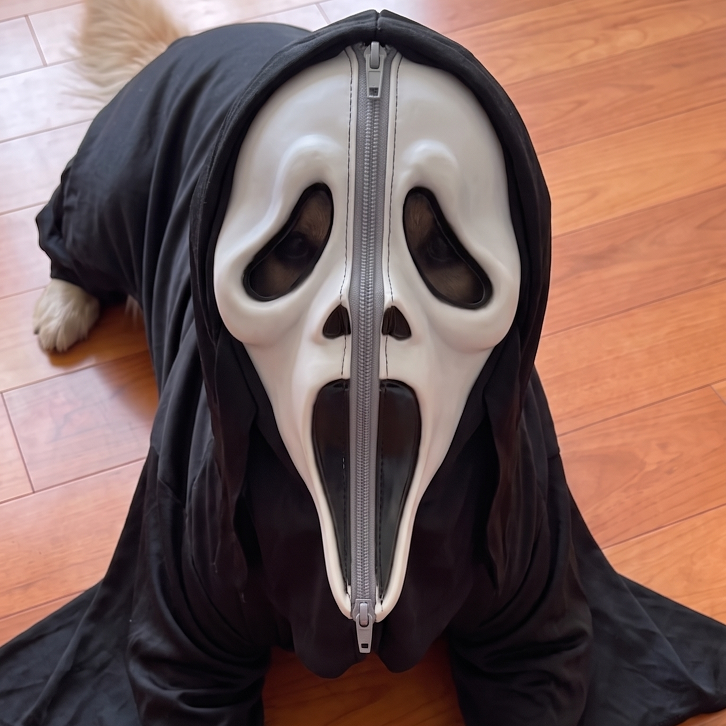 Horror Puppy Onesies - PRE ORDERS ONLY