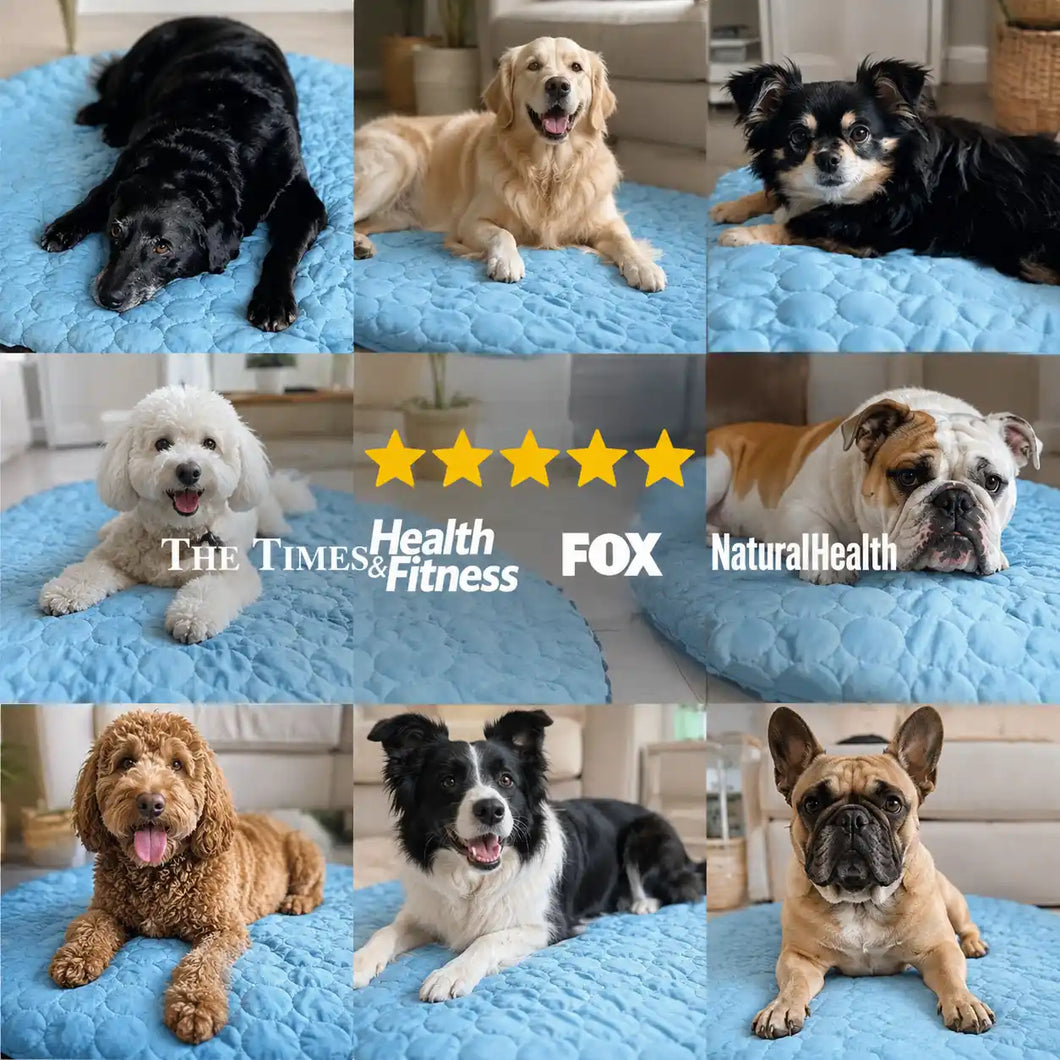 CoolRest – More Coolness and Rest for Your Dog