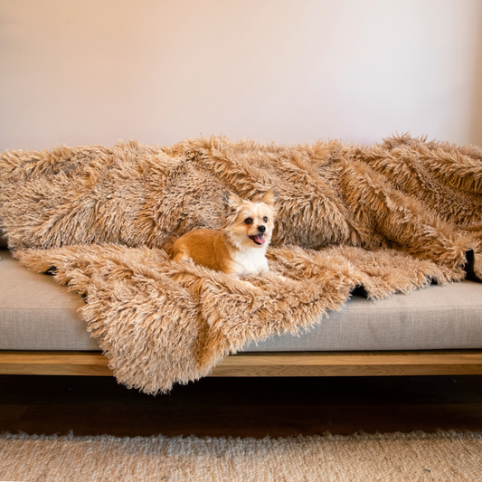 Aprolo™ Luxury Waterproof Pet Blanket & Bed Runner