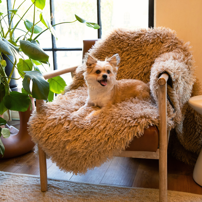 Aprolo™ Luxury Waterproof Pet Blanket & Bed Runner