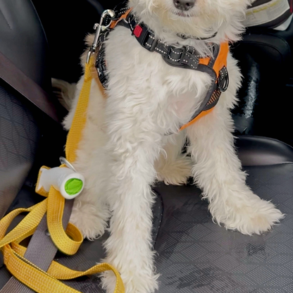 Aprolo™ Quick Control Leash – Lock, Walk, Enjoy