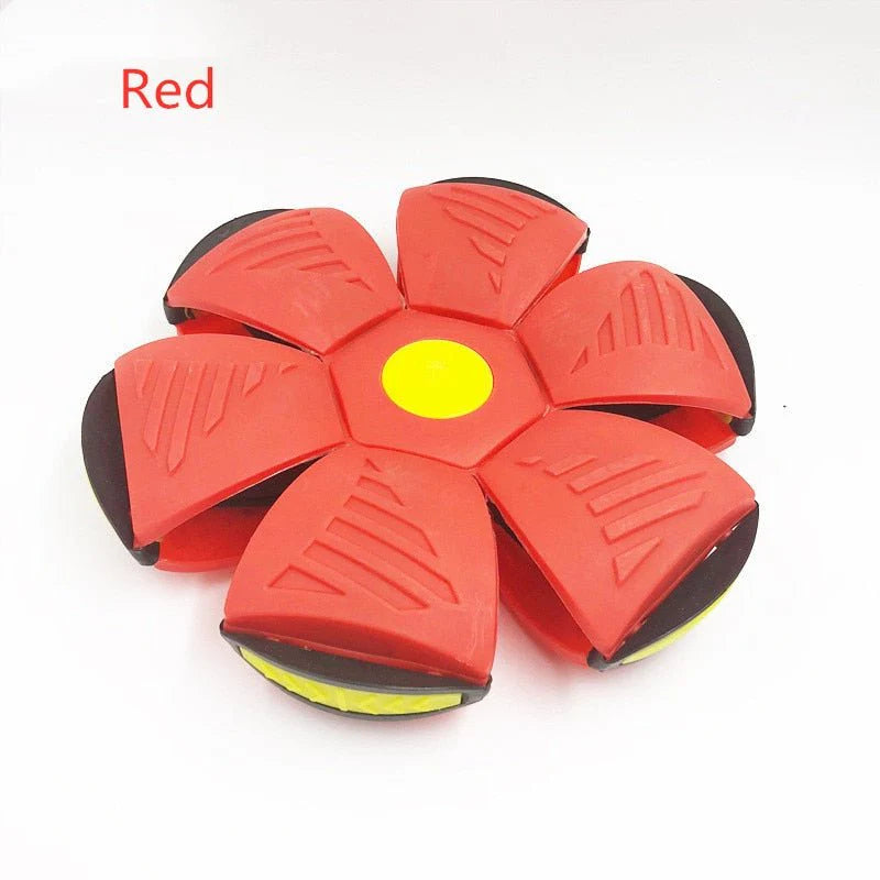 Magic Flying Ball Toy For Kids and Pets