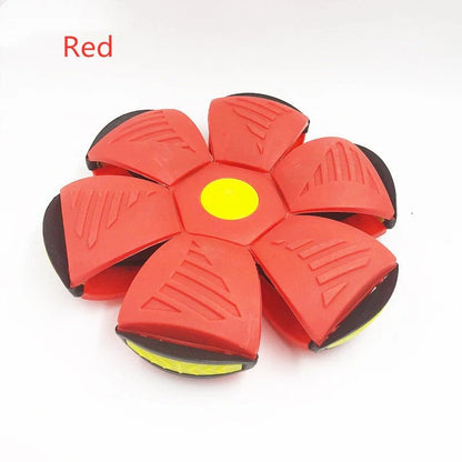 Magic Flying Ball Toy For Kids and Pets