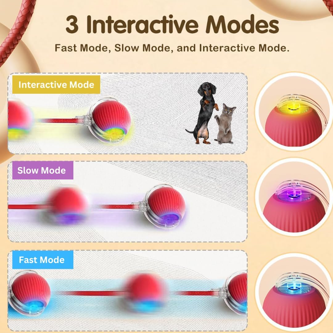 Rollraptor Interactive Pet Toy Ball