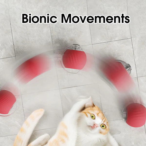 Rollraptor Interactive Pet Toy Ball
